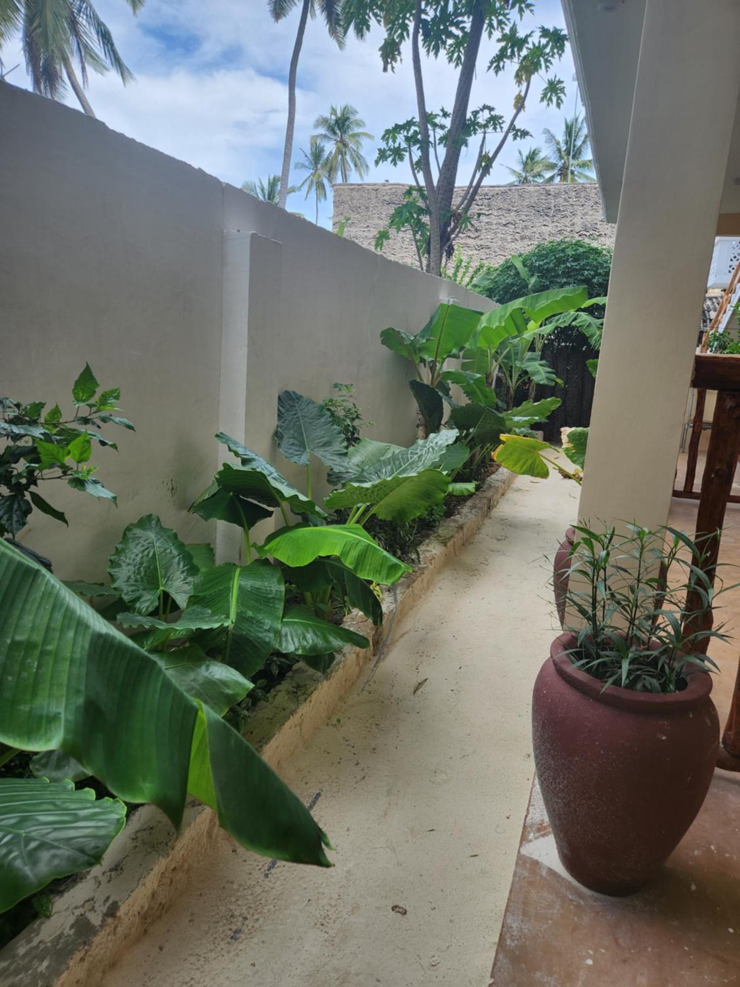 Two Palms Hotel Jambiani  Exterior foto